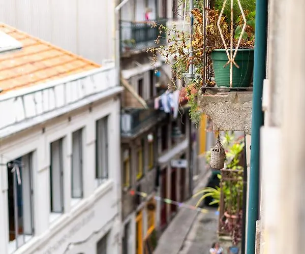 Merc Downtown's Place *